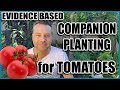 Companion Planting // 14 Companion Plants for Tomatoes (Evidence Based)