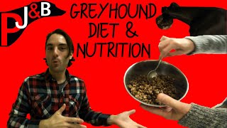 Paul & his Greyhound: Greyhound Diet & Nutrition