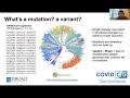 Albert Tian Chen - COVIDCG:SARS-CoV-2 Mutation Tracking + Genomic Data Visualization | PyData Boston