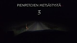 Pienpetojen metsästystä 3/ Small predator hunting 3