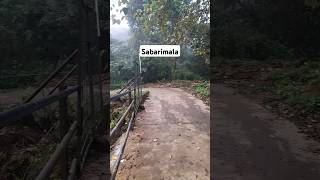 வெரிச்சோடி காண படும் சபரிமலை மலை பகுதி | only 3 devotees walking in sabarimala  forest | status