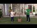 Plow & Hearth Lighted Faux Outdoor Cherry Tree on QVC