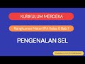 Kurikulum Merdeka Rangkuman IPA Kelas 8 Bab 1: Pengenalan Sel