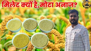 मिलेट को क्यों कहते हैं मोटा अनाज।types of millets। मिलेंट्स हमारे लिए कितना लाभदायक।Millets।grains