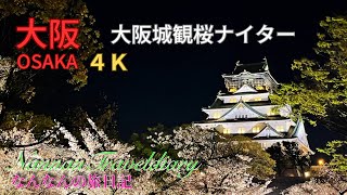 【大阪🌸大阪城の観桜ナイター】4Ｋ💖潜入2023春のライトアップ💖(２０２３年４月３日撮影）