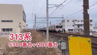 313系5300番台₊1100番台　快速大垣行き　#313系 #313系5300番台 #313系1100番台 #jr東海