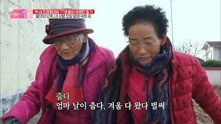 엄마의 단짝! 이젠 함께 늙어가는 99세 엄마와 77세 딸 [엄마의 봄날] 171회 20181223