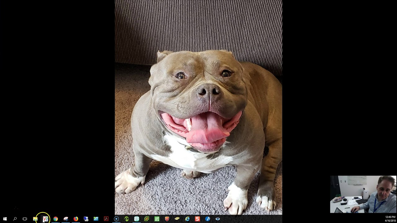 Proxyclick Demo Advanced Pre Registration Youtube