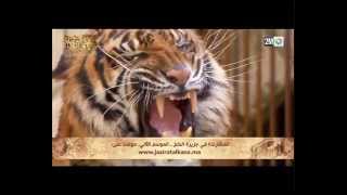 TRAILER DU PRIME 9! - Jazirat Al Kanz - تقديم الحلقة التاسعة - جزيرة الكنز