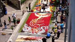 Féérique Phénix - Tapis de fleurs - Infiorata 2014