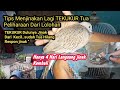 Cara Menjinakan Lagi Burung TEKUKUR  Stelah 2 (dua) Tahun Di pelihara..Langsung Jinak Lagi.