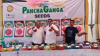 #panchagangaseeds #panchagangapyaj