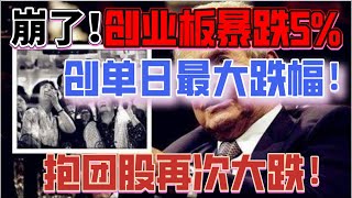 A股反弹结束了吗？创业板又暴跌5%！创单日最大跌幅！抱团股再遭重挫！（2021/3/15股市预测）【中文字幕】