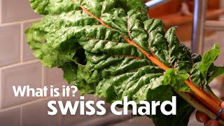 What Is It? - Swiss Chard