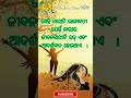 nitibani ajira anuchinta sadhubani ବ୍ରହ୍ମ ବାଣୀ 85 odia quotes shorts youtubeshorts