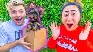 BOYFRIEND SURPRISES ME WITH A PUPPY!!