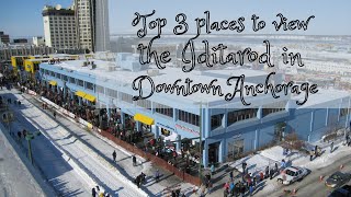 Top 3 Places to View the Iditarod in Downtown Anchorage!