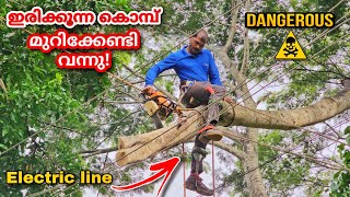 കരണ്ട് കമ്പിയുടെ മുകളിലേക്ക് അടർന്നു വീണ കൊമ്പ് മുറിച്ചു   മാറ്റുന്നത് എങ്ങനെ😮?dangerous cutting😨!!!