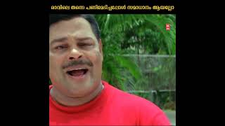 രാവിലെ തന്നെ പണി കിട്ടിയപ്പോ സമാധാനം ആയി#comedy #malayalamcomedyscenes #shorts #jayasurya #innocent