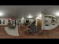 oiiaoiia cat in 360 vr