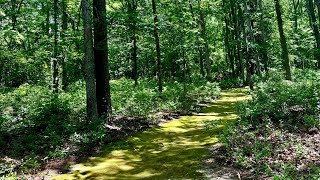 Celebrate Life and the Living With Green Burial at Steelmantown Cemetery in Woodbine, New Jersey