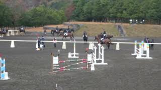 第7回関東学生馬術男子競技大会　男子障害馬術競技　2年　横山雄太　桜里