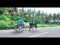 bike trip to meghamalai in tamilnadu agricultural land of cumbum theni villages