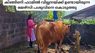 കിങ്ങിണി ഫാമിൽ വില്പനയ്ക്ക് ഉണ്ടായിരുന്ന ജേഴ്സി പശുവിനെ കൊടുത്തു