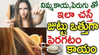 How To Use Curd\u0026Lemon To Stop Hair Loss | నిమ్మకాయ పెరుగు తో ఇలా చస్తే  జుట్టు ఒత్తుగా పెరగటం కాయం |