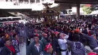 平成26年 三鷹 八幡大神社 大祭 駅前 神輿ﾊﾞﾄﾙ担ぎ渡御。