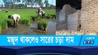 ঠাকুরগাঁওয়ে সারের কৃত্রিম সঙ্কট সিন্ডিকেটে জিম্মি চাষিরা | ETV News