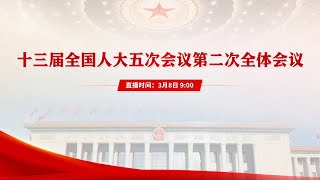 十三届全国人大五次会议第二次全体会议