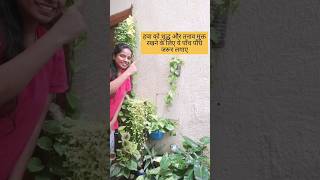 हवा को शुद्ध और तनाव मुक्त रखने के लिए ये पाँच पौधे जरूर लगाए  #gardening #shorts #youtubeshorts