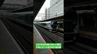 戸塚駅に終着する修学旅行集約臨E257系5000番台OM-91編成9両