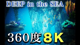 水族館にもぐりたい！360動画Aquarium360 8K