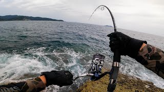 新しい無人島で秋のデカマサを狙ったら、とてつもない釣果になりました・・・。