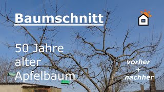 Baumschnitt: Apfelbaum 50 Jahre - vorher \u0026 nachher