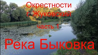 Рыболовные окрестности г.Жуковский. часть 1.река Быковка. 22.08.2024.