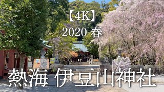 【4K】桜咲く伊豆山神社 2020年春 静岡県熱海市　Atami City, cherry blossom blooming Izusan Shrine