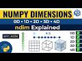 NumPy Multidimensional Arrays Explained | 0D, 1D, 2D, 3D, 4D & ndim | Masterclass #07
