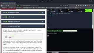 THM - Python Basics Task 1 to Task 5