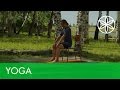 Rodney Yee: Yoga for Energy and Stress Relief - Chair Yoga | Yoga | Gaiam