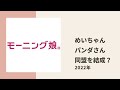 【モーニング娘。】めいちゃんはパンダさん好きな他のハロメンをどう見ているのかについてえりぽんが聞いてみる