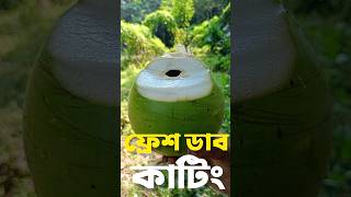 ফ্রেশ ডাব কাটিং। ডাব কাটিং। দেশি ডাব। ডাবের পানি। #shorts