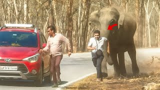Incredible Moments Caught on Camera (P186) Unbelievable Real-Life Footage!