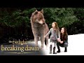 'Bella's New Powers & Renesmee's Fast Aging' Scene | The Twilight Saga: Breaking Dawn - Part 2