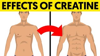 What creatine does to your muscle gains