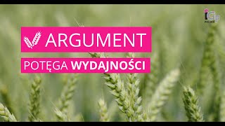 🌱 Pszenica ozima ARGUMENT