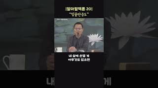 내 삶에 손댈 게 아무것도 없다. #shorts #깨달음 #마음공부 #조사선 #직지인심