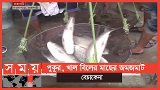 ভোর থেকেই সরগরম রাজশাহীর মাছের বাজার | Fish Market | Business News